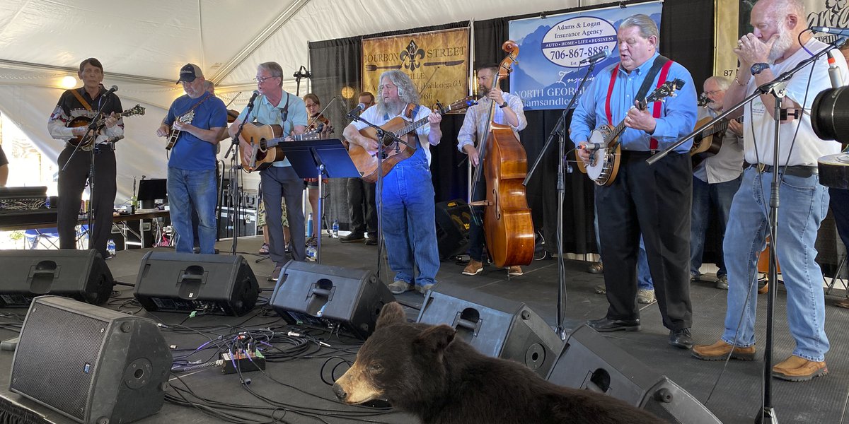 Bear on the Square Mountain Festival Blue Ridge Country